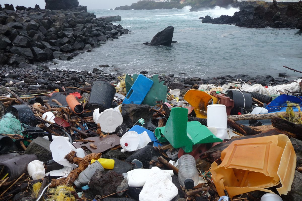 Pesquisa aponta lixo plástico acumulado no fundo do mar não se decompõe facilmente 