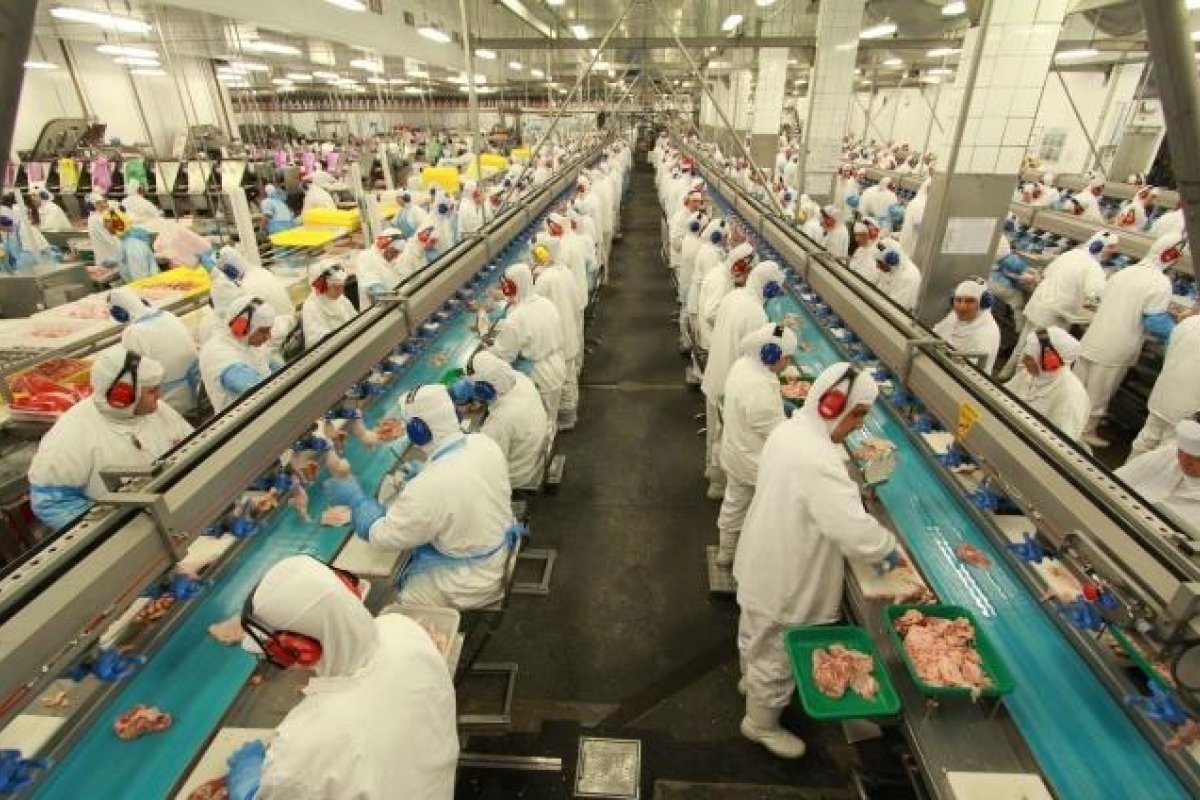  ABPA estima crescimento da produção de carne de frango e suína para 2023, aponta levantamento