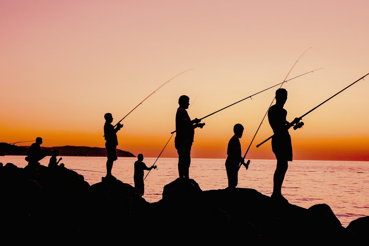 Orçamento do novo Ministério da Pesca pode ser 950% maior em 2023