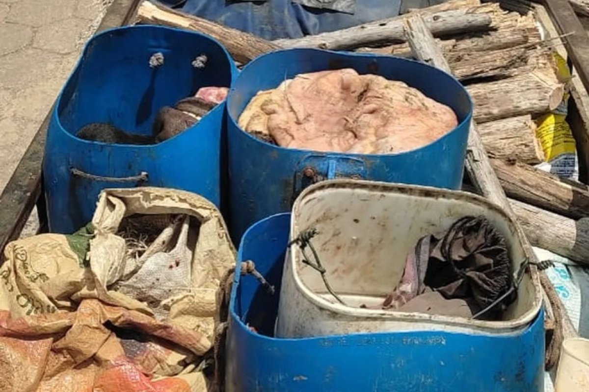 Noventa quilos de carne são apreendidos em carroceria de carro no sul da Bahia