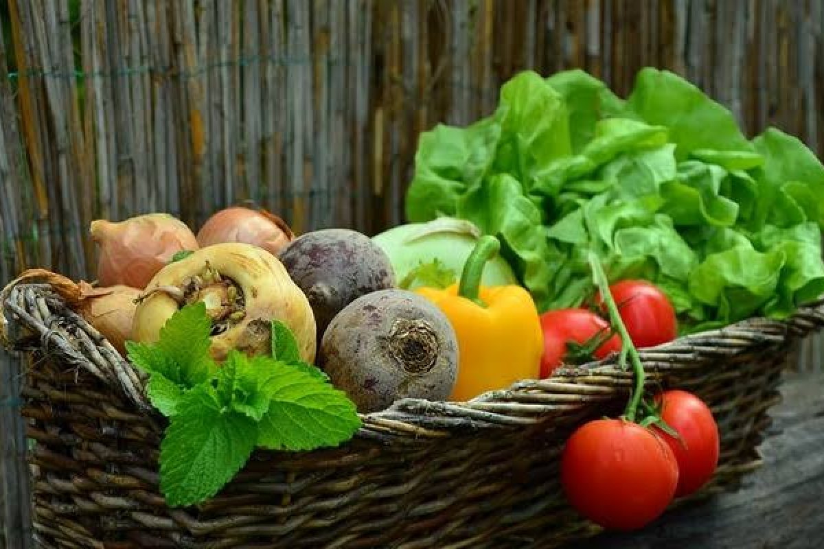 Pesquisa revela que mais da metade dos brasileiros já substitui alimentos de origem animal por opções vegetais! 