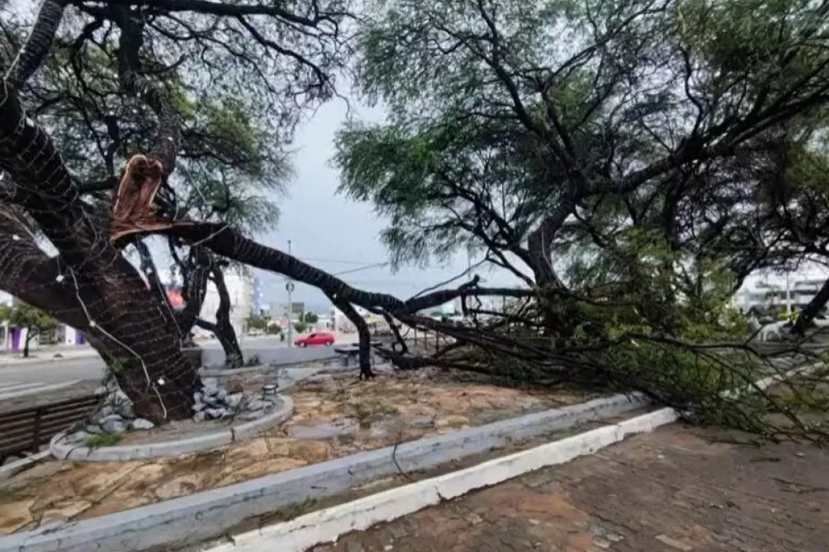 Temporais provocam transtornos em cidades das regiões sudoeste e oeste da Bahia