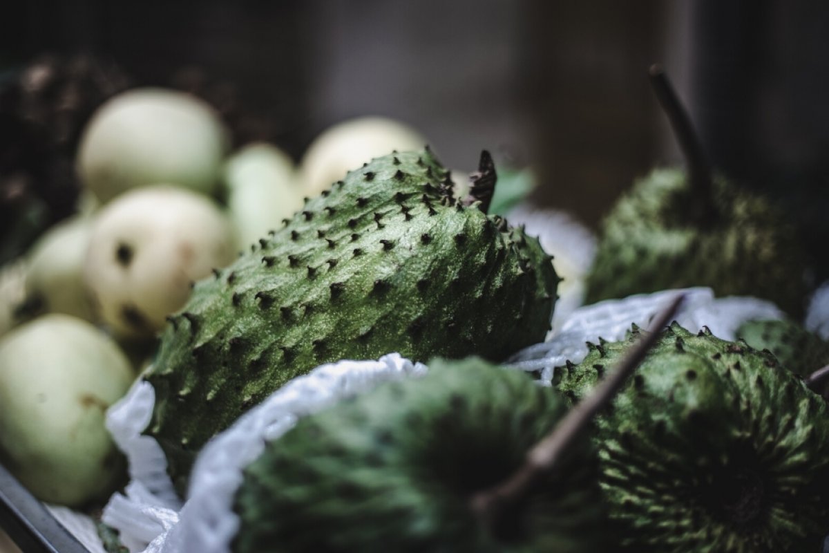 Graviola: Fruta é aliada na manutenção de uma vida mais saudável! 