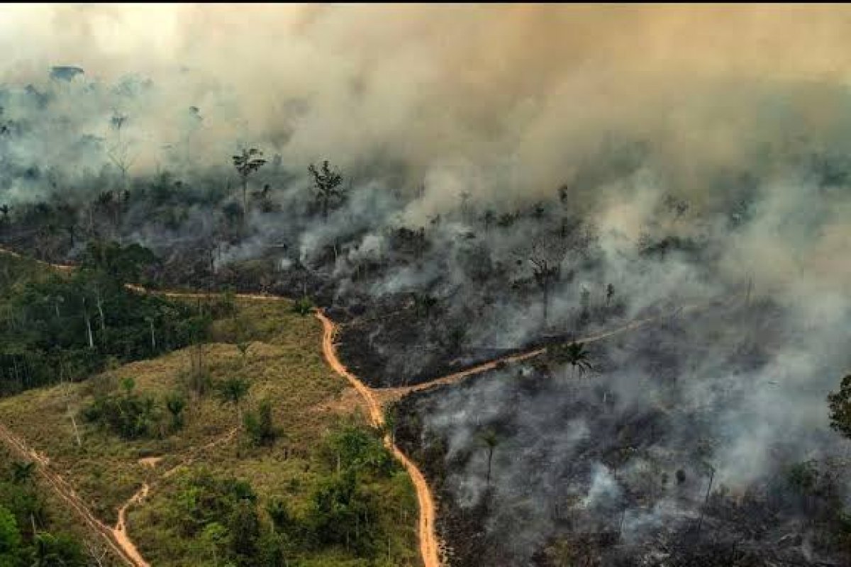 Brigadistas de Alter do Chão são presos por queimadas na Amazônia