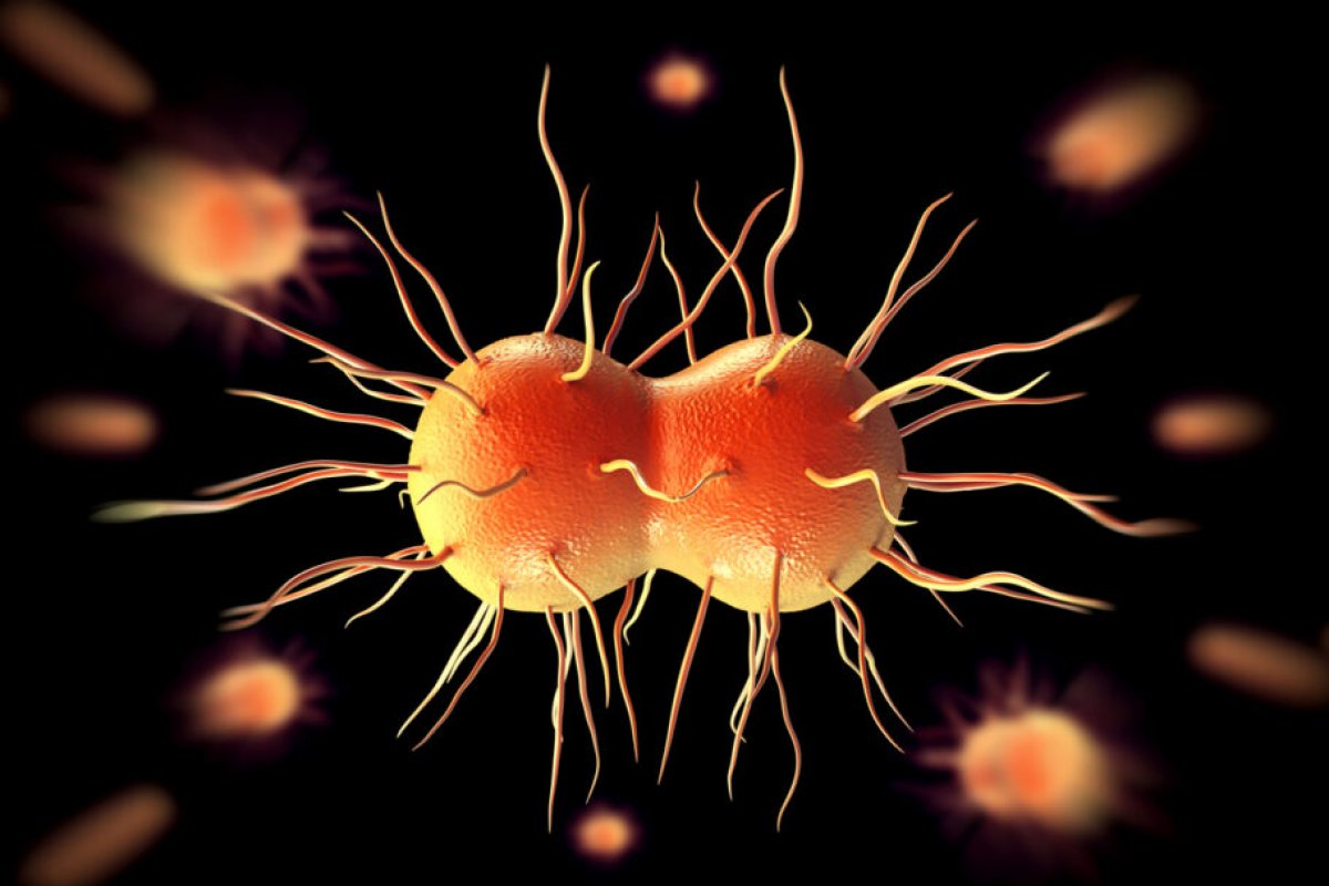 EUA investigam dois casos de variante da gonorreia ‘superforte’ e resistente a antibióticos