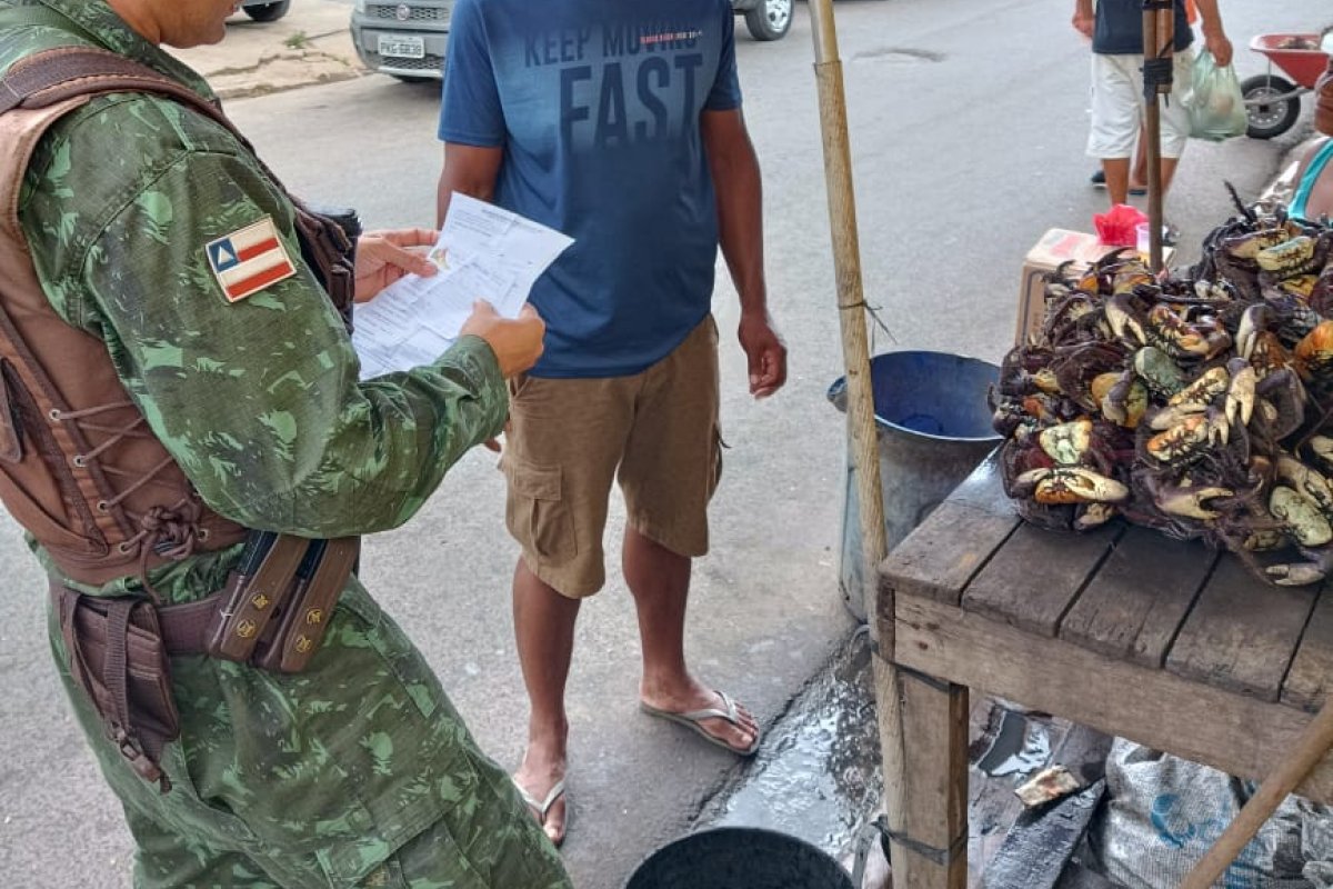 Crustáceos capturados irregularmente são resgatados em Porto Seguro