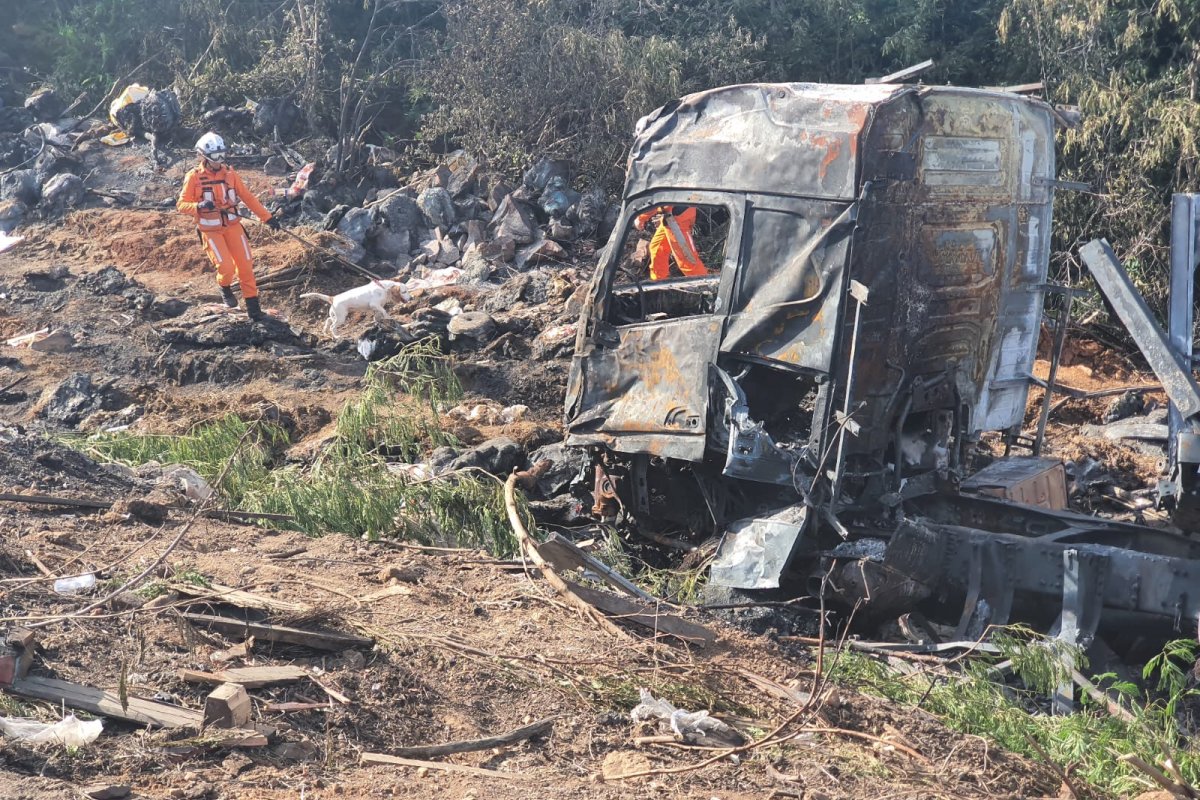 Bombeiros contam com ajuda de cães para encontrar criança que desapareceu após acidente na BR-24
