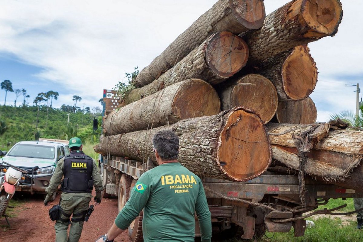 Ibama cria grupo para fiscalizar fraudes em sistemas de controle florestal