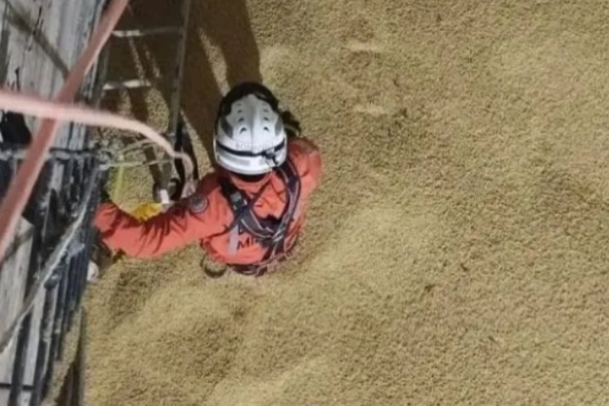 Dois trabalhadores morrem soterrados em silo de fazenda de soja no oeste da Bahia 