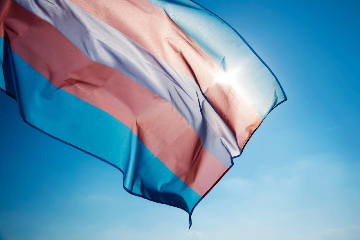 Visibilidade trans 