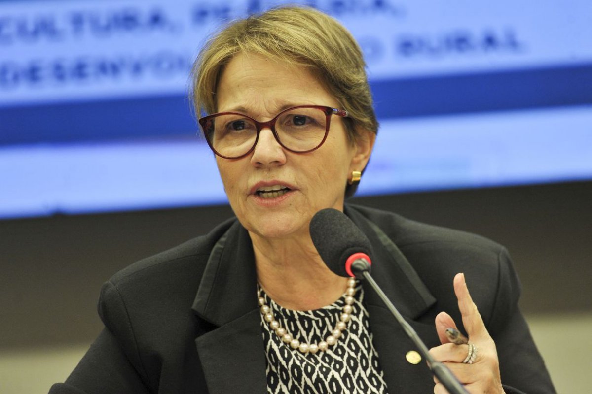 "Carne ficou por 3 anos com valor muito baixo", diz ministra