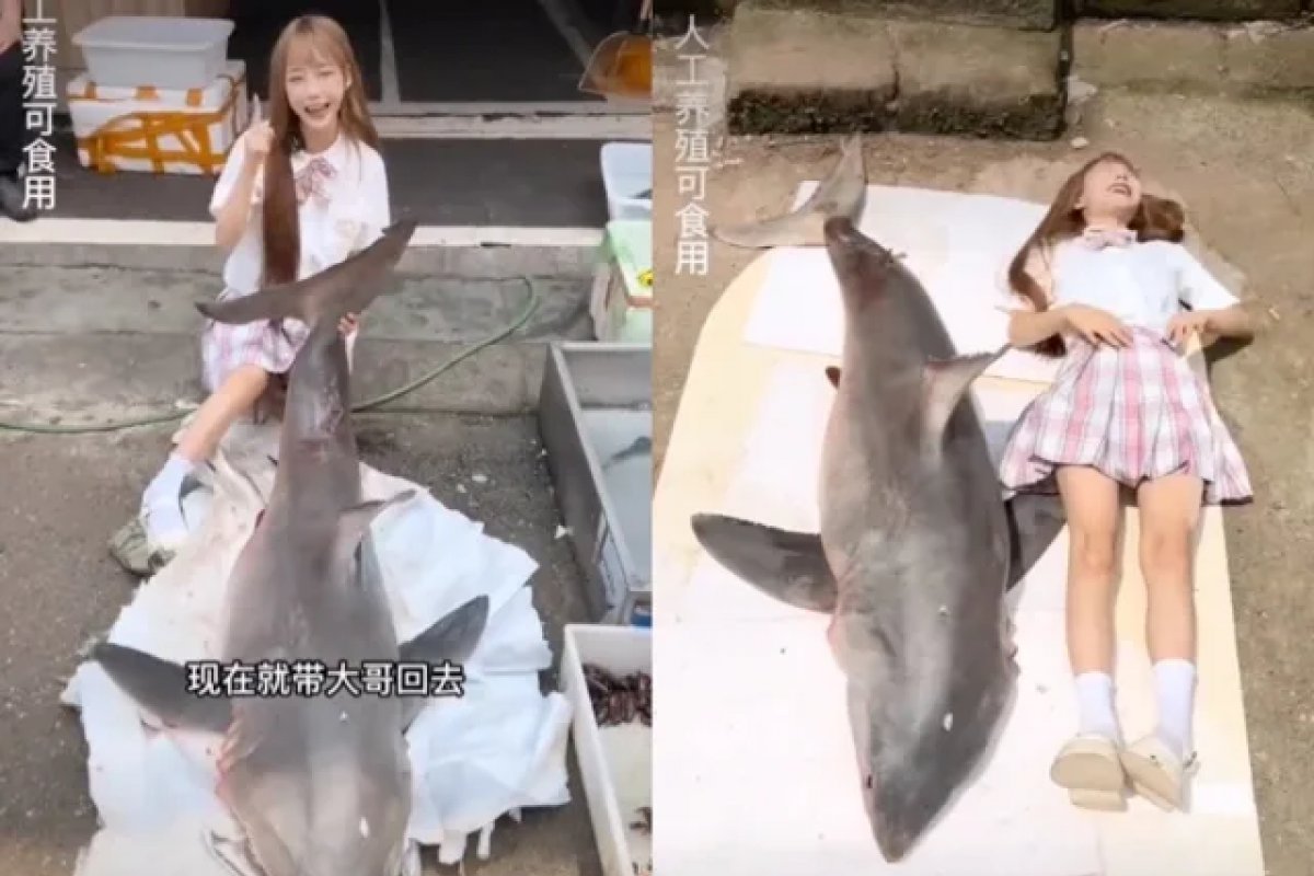 China multa blogueira por fazer vídeo comprando, cozinhando e comendo um tubarão-branco