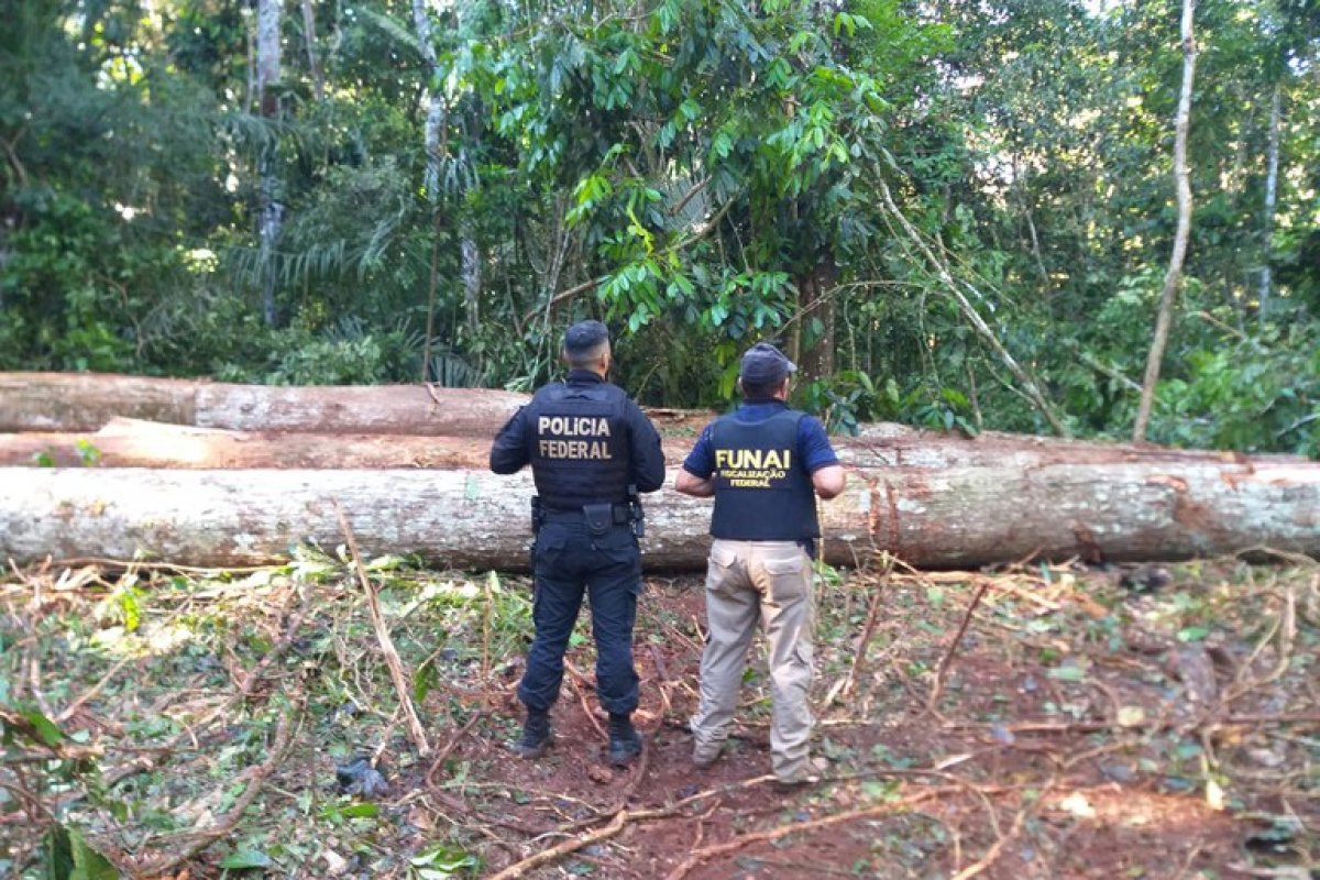 Justiça determina a criação de plano de ação para proteger terra indígena Uru-Eu-Wau-Wau