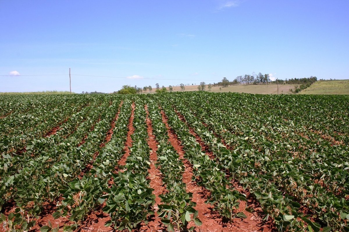 El Niño ganha força e tem data para iniciar em 2023, alerta departamento 