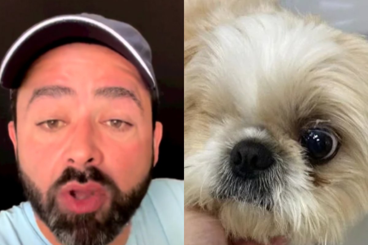 Vídeo: presidente da OAB-MG comenta nomeação de cachorro: ‘Gesto simbólico’