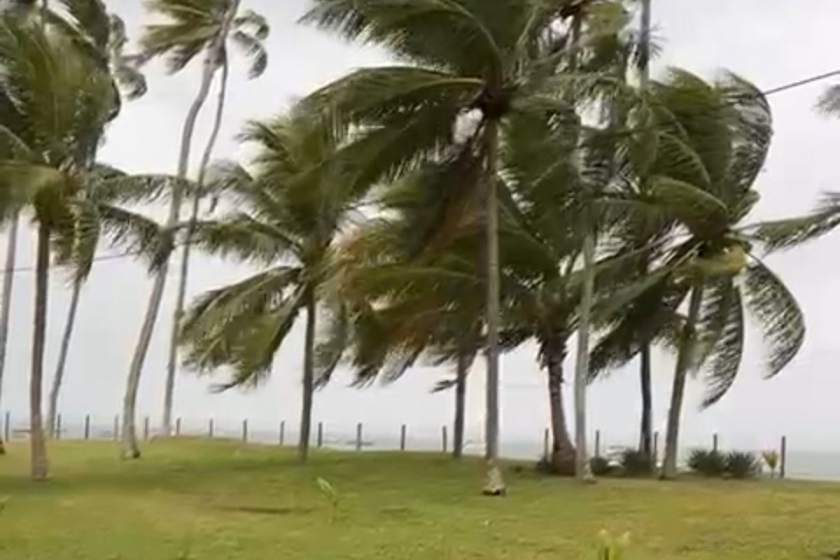 Vídeo: Forte ventania atinge Ilha de Itaparica, na Bahia 