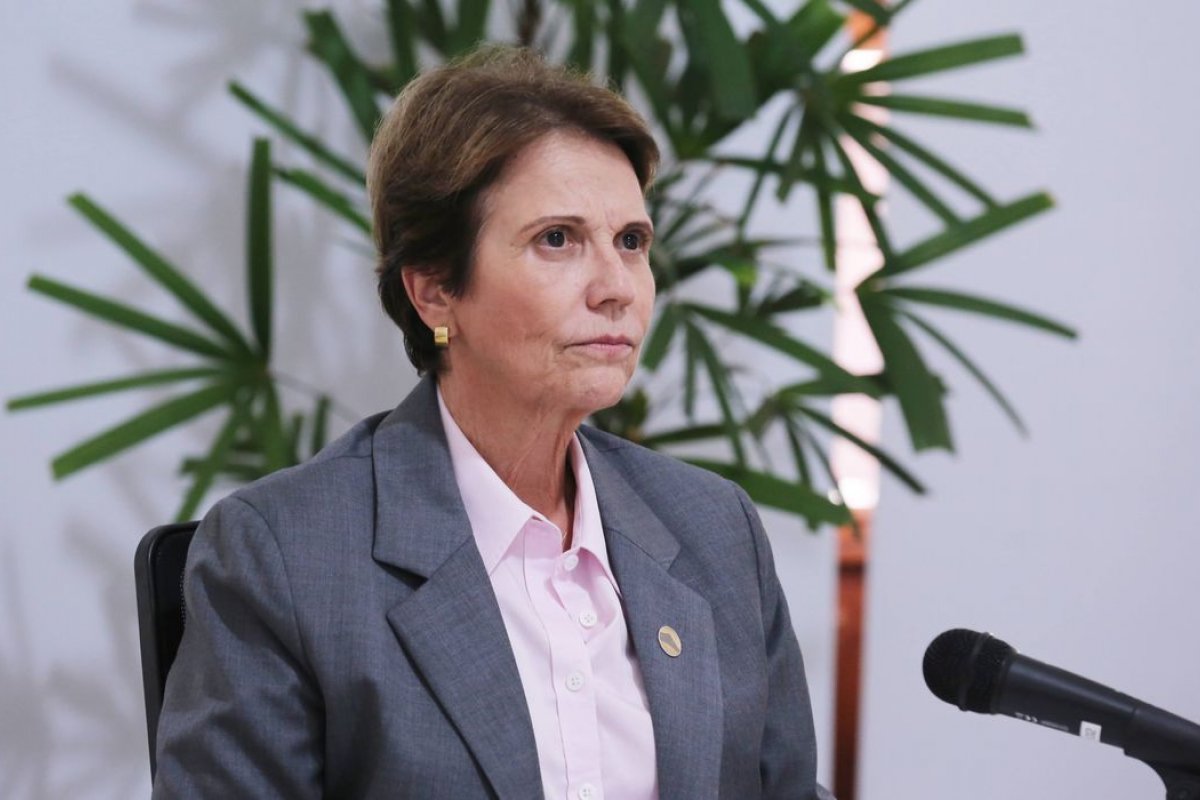 Preço da carne não deve cair por caso de vaca louca, diz ex-ministra da Agricultura