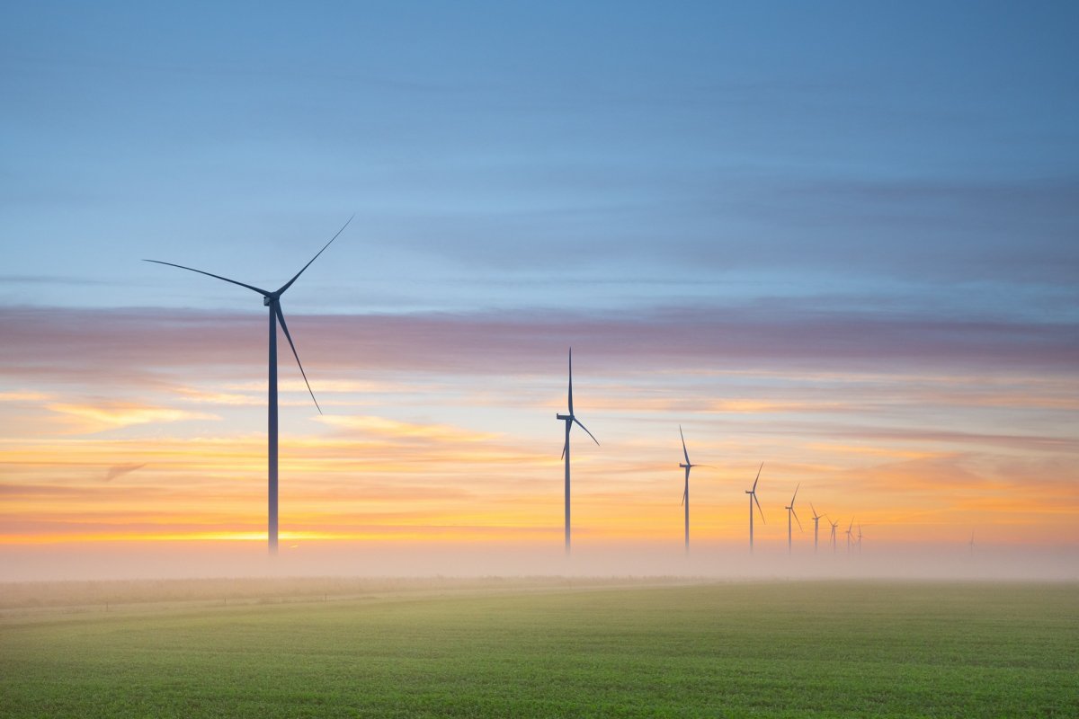 Nordeste produziu mais de 9 mil MW médios de energia solar e eólica em janeiro, aponta CCEE