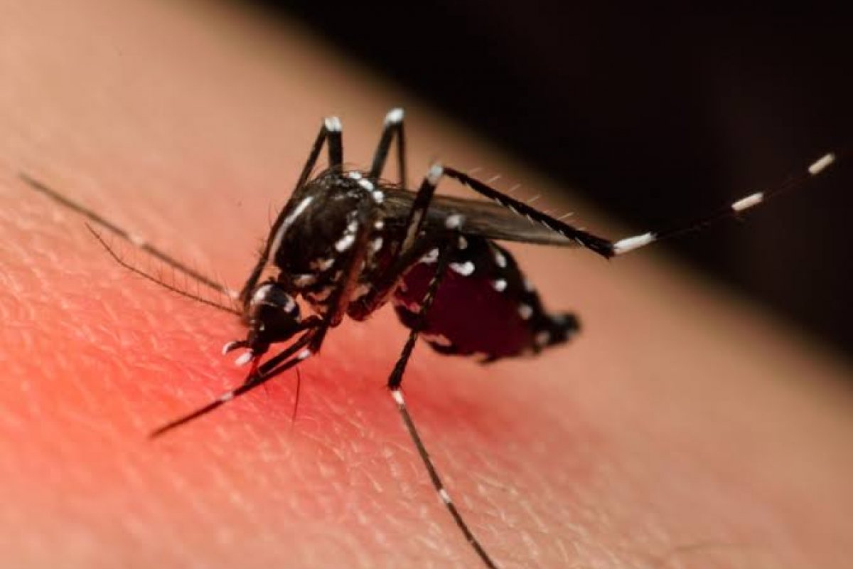 Semana de Mobilização Nacional de Combate ao Aedes aegypti começa nesta terça-feira 