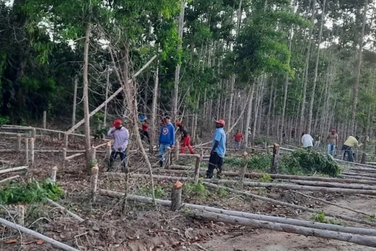 Justiça determina desocupação de área invadida pelo MST na Bahia