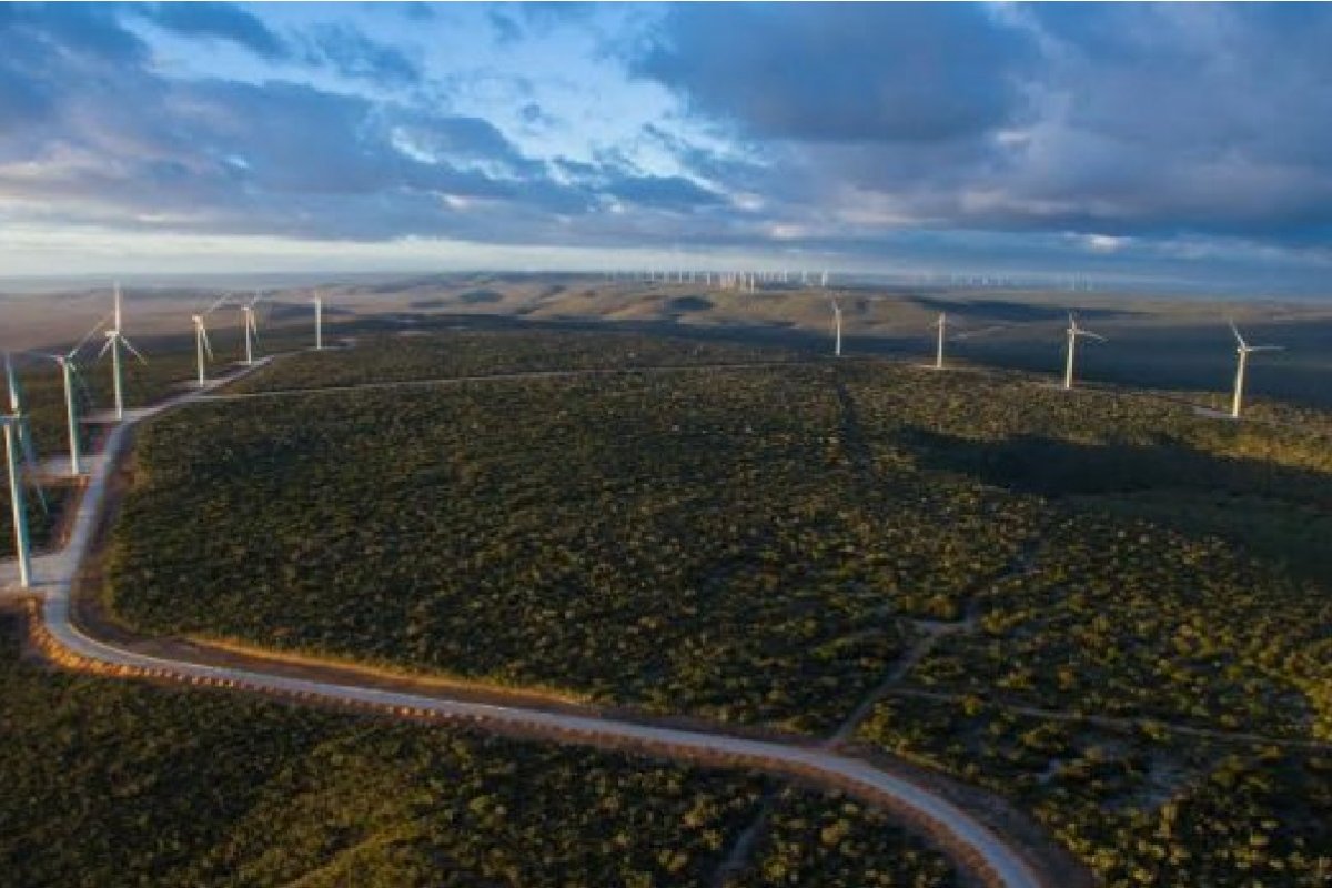Bahia mantém liderança nacional na geração total de energia eólica e solar, aponta CCEE