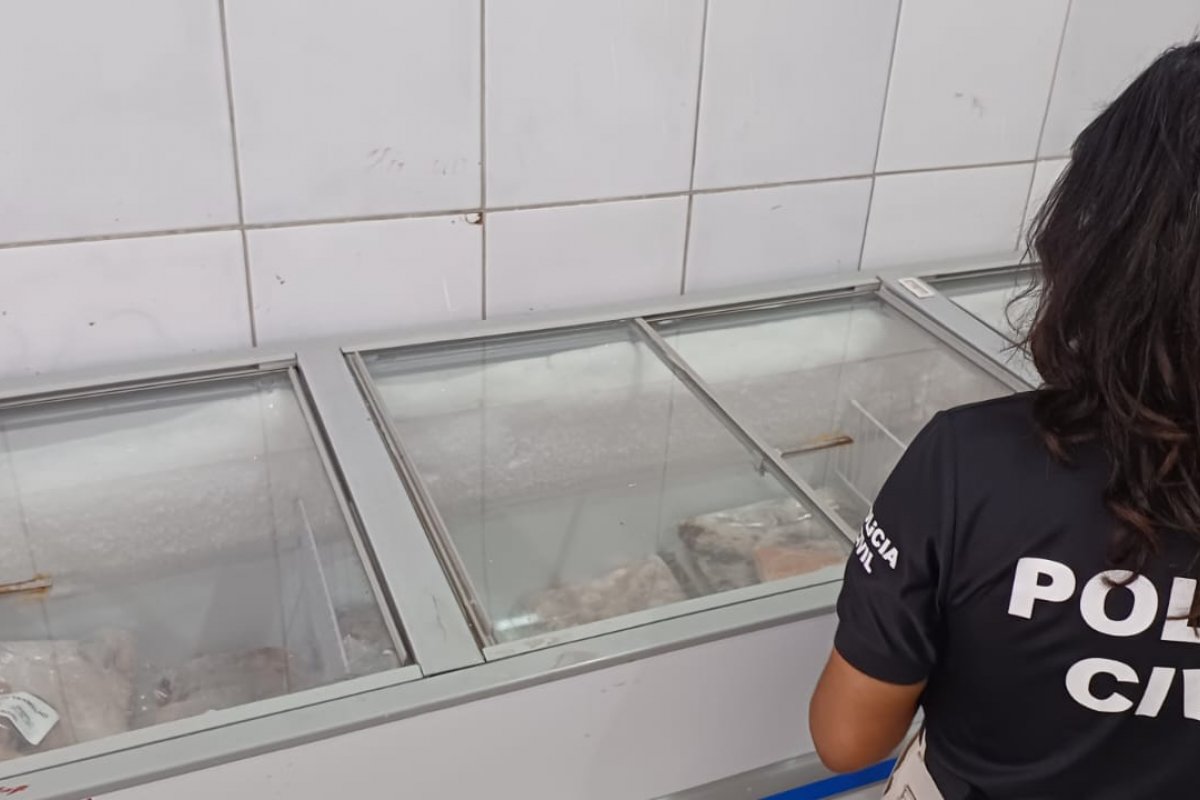 Oito toneladas de peixes sem condições de consumo são apreendidos de mercado em Salvador