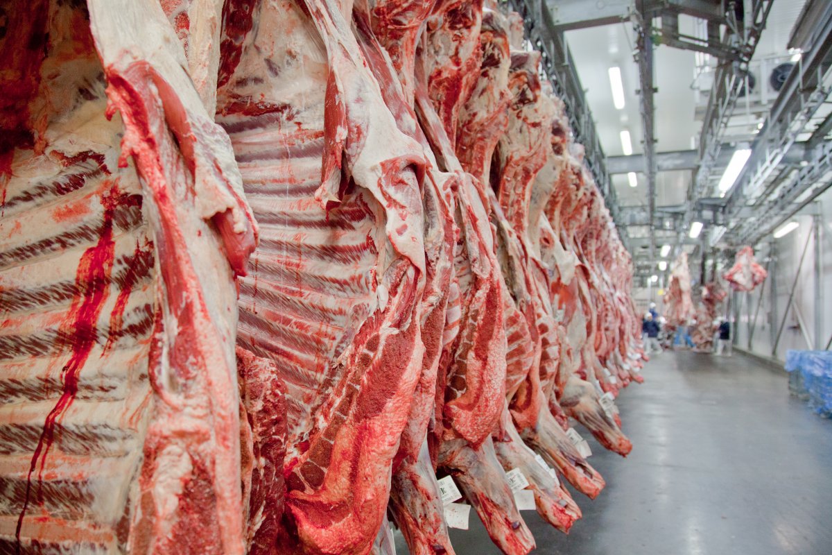 Exportações de carne bovina cresceram 45% em novembro