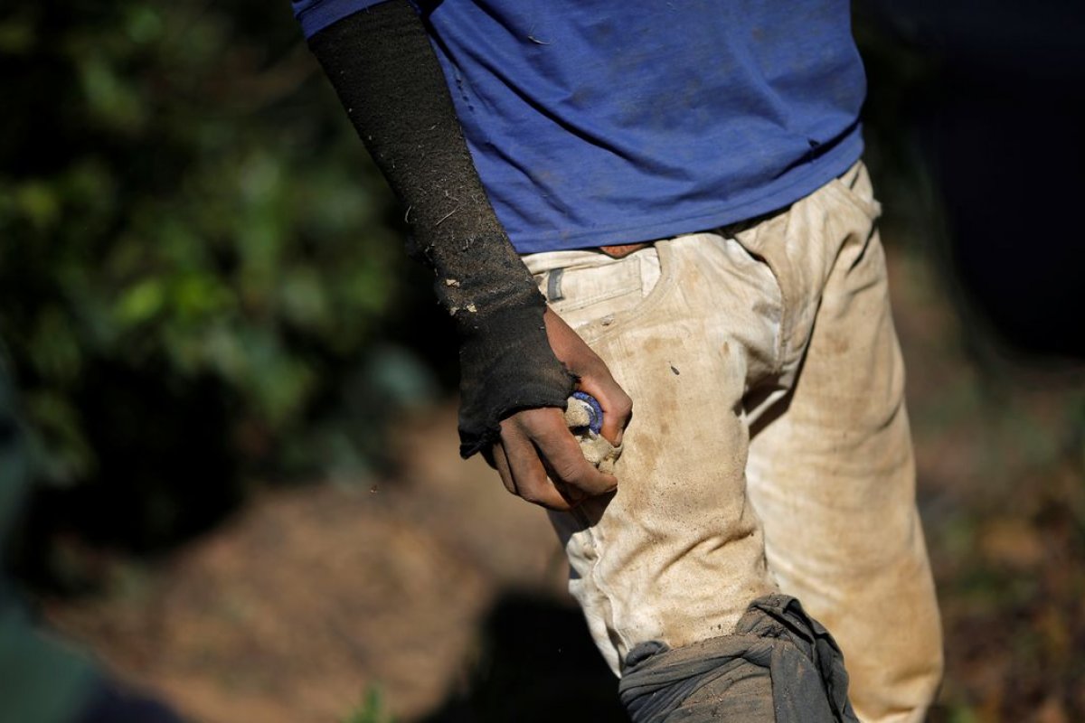 Denúncias de trabalhos análogos à escravidão mais que dobram em 11 anos no Brasil 
