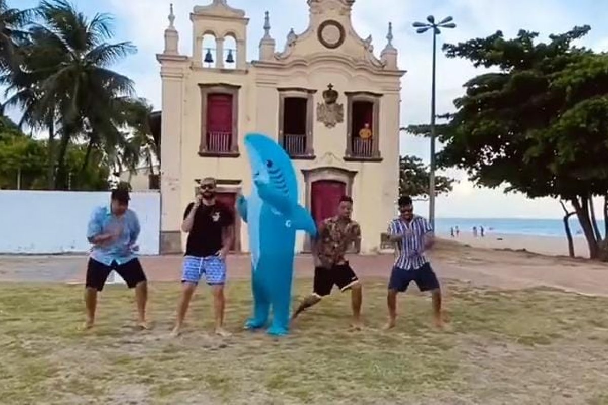 Vídeo: Estudantes de Recife lançam campanha para previnir ataques de tubarão