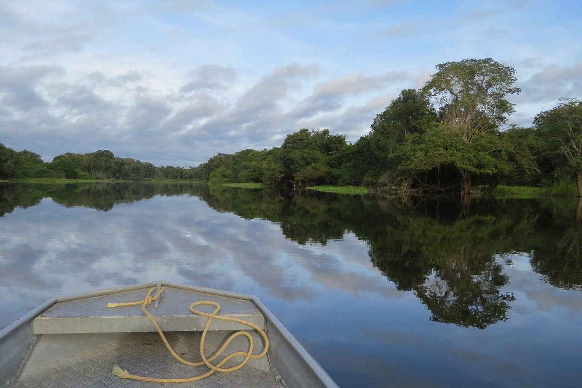 90% da área queimada no Brasil em 2023 está concentrada na Amazônia