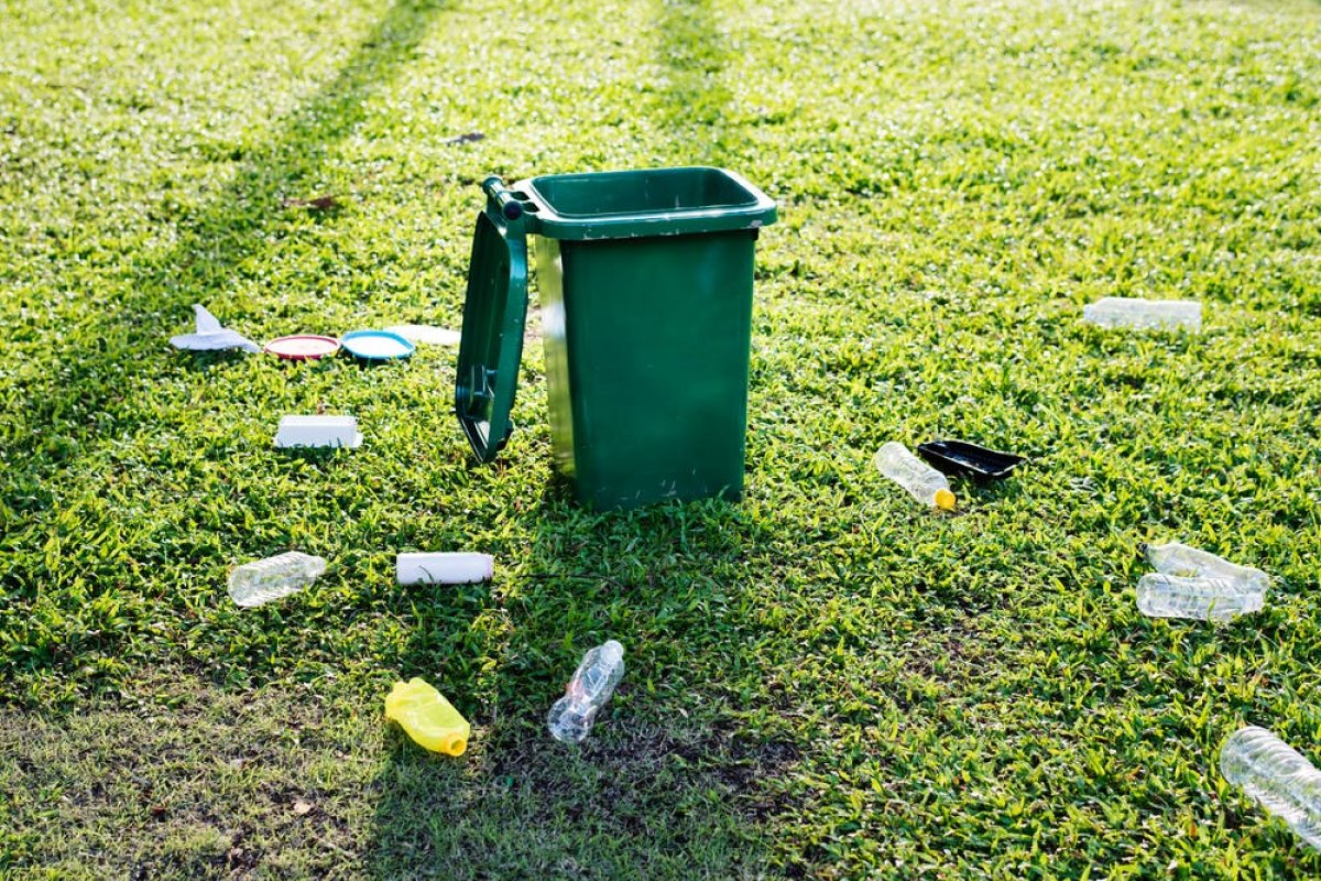 Educação ambiental passa a ser obrigatória na rede pública de ensino da Bahia