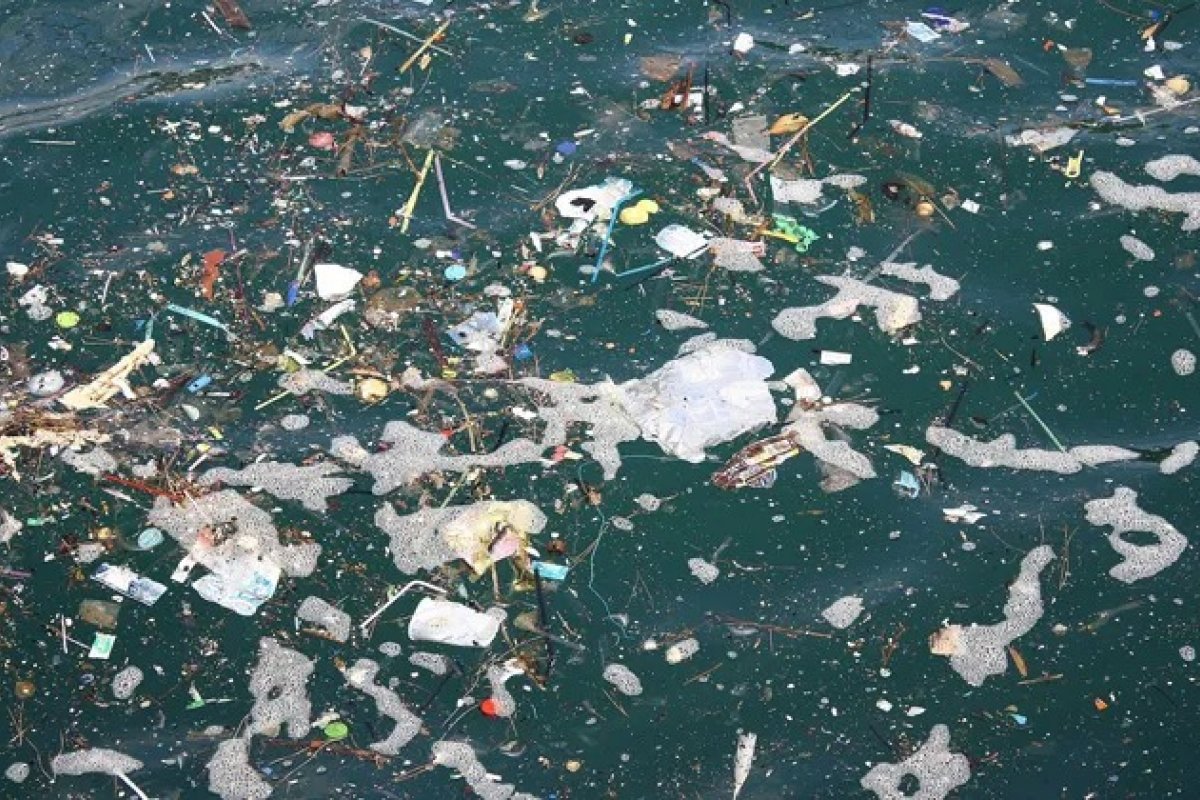 Projeto usa redes sociais para engajar pessoas na preservação do meio ambiente