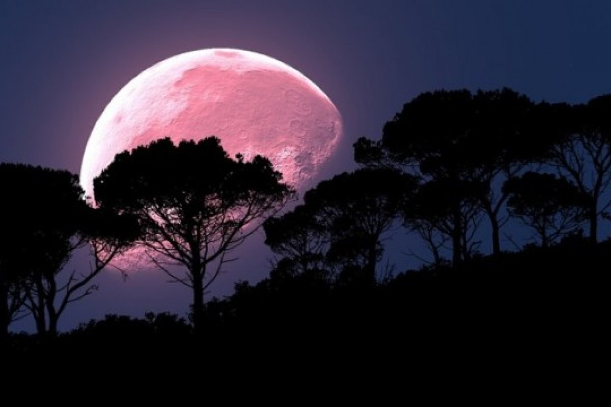 Superlua Rosa poderá ser vista de todo país nesta quinta-feira (06)
