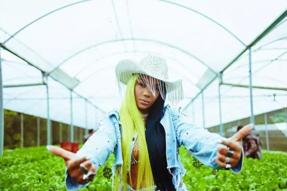 Deputado do PSL aciona Ministério Público e Polícia Federal contra a música  Verdinha, de Ludmilla