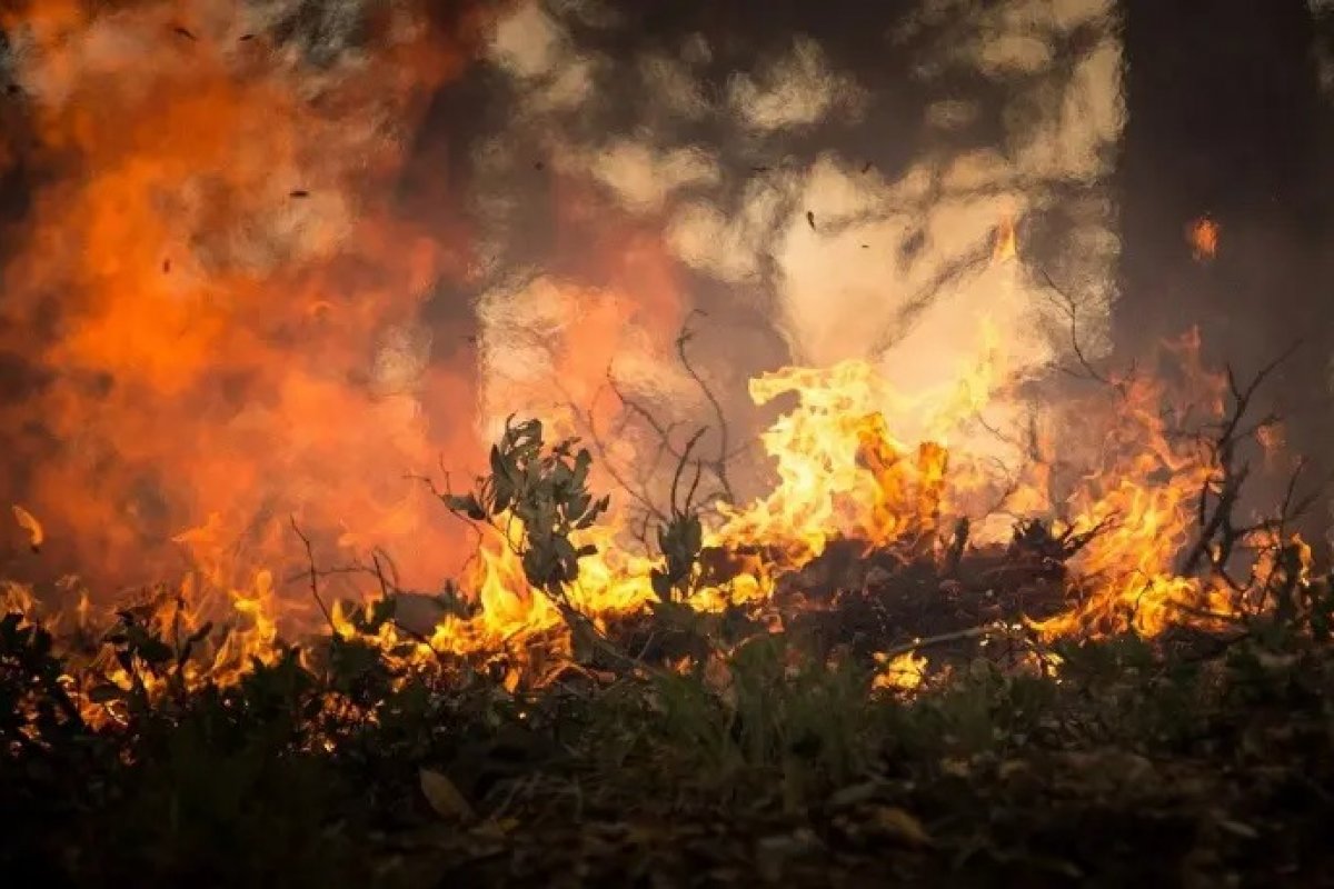 Mais de 21% do território brasileiro foi queimado em quase 4 décadas