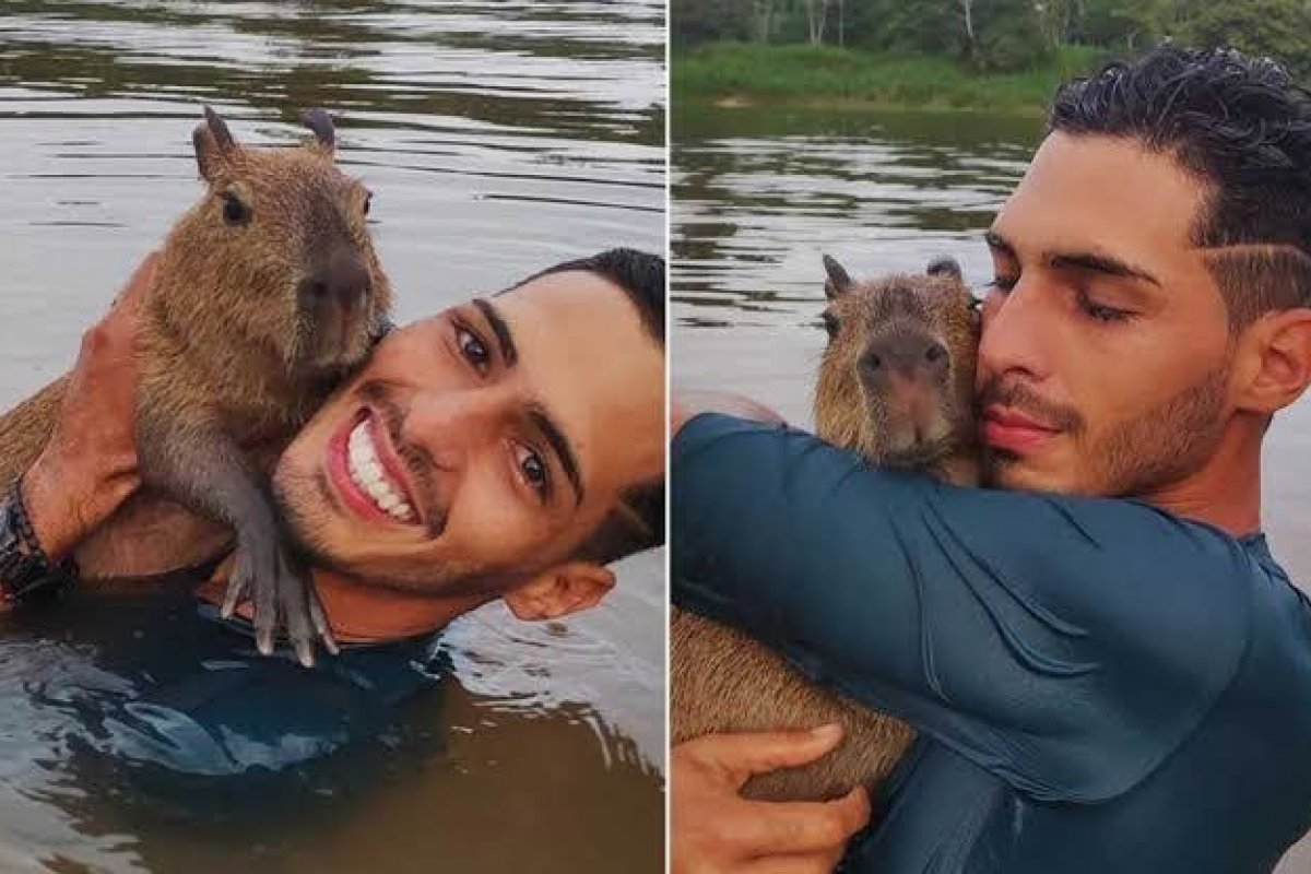 Justiça manda Ibama devolver capivara Filó a influenciador