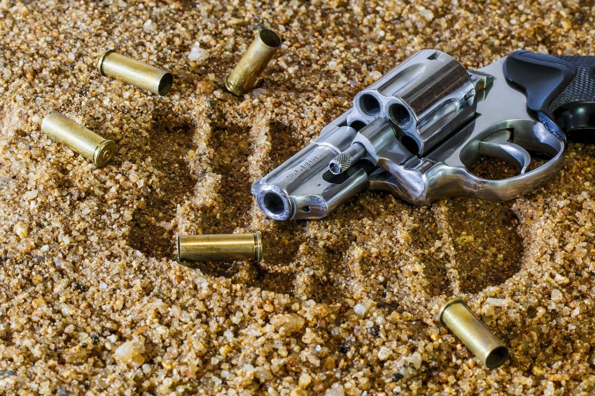 Quase 1 milhão de armas foram recadastradas no sistema da Polícia Federal 