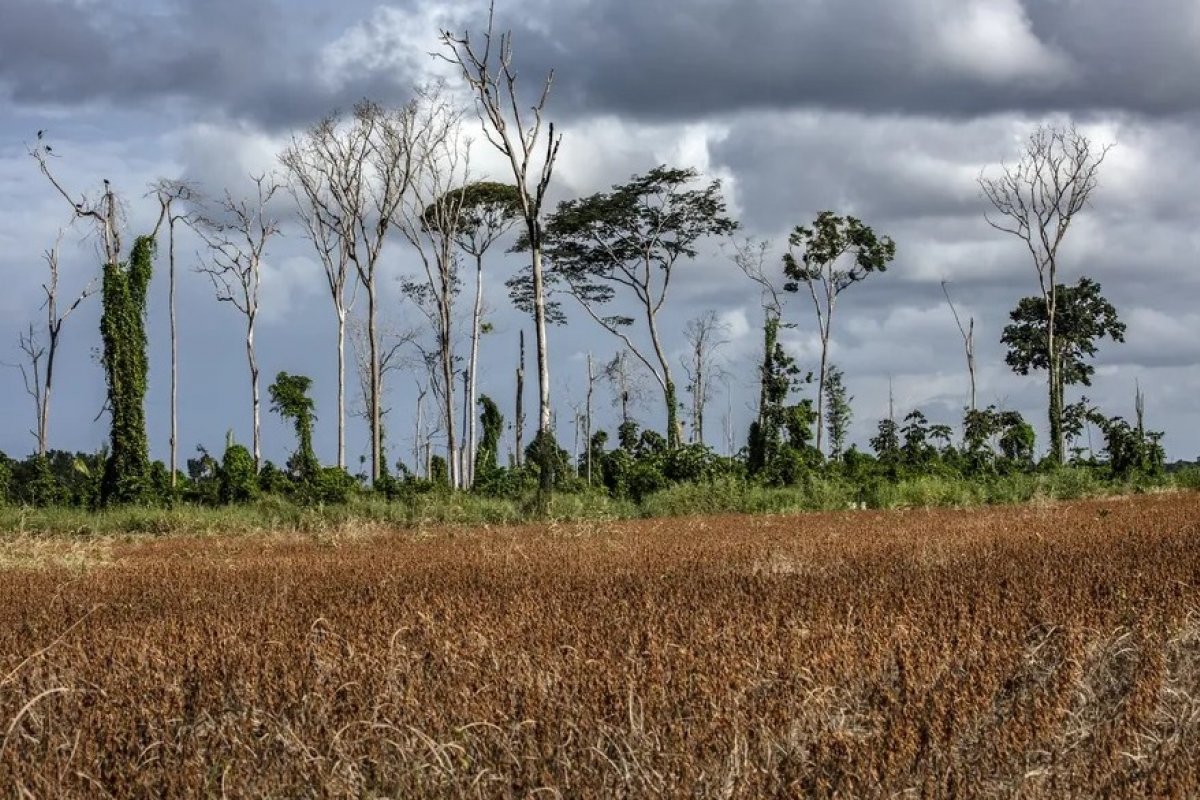 Fenômeno climático El Niño deve provocar extrema seca no Norte e Nordeste do Brasil