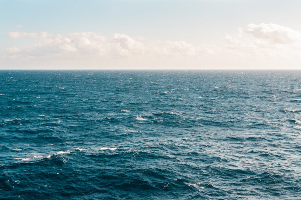 Temperatura recorde na superfície do oceano preocupa cientistas 