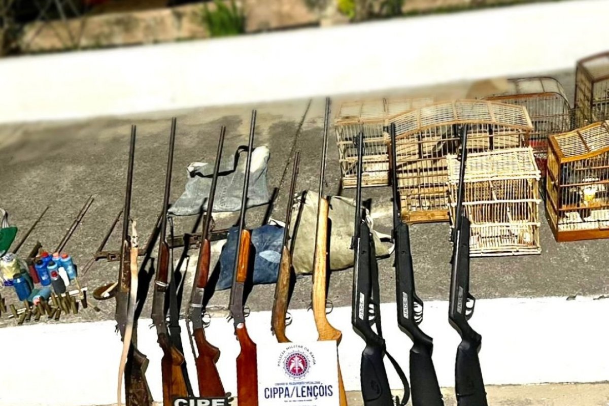 Mais de 10 aves silvestres são resgatadas de cativeiro em Souto Soares, na Bahia