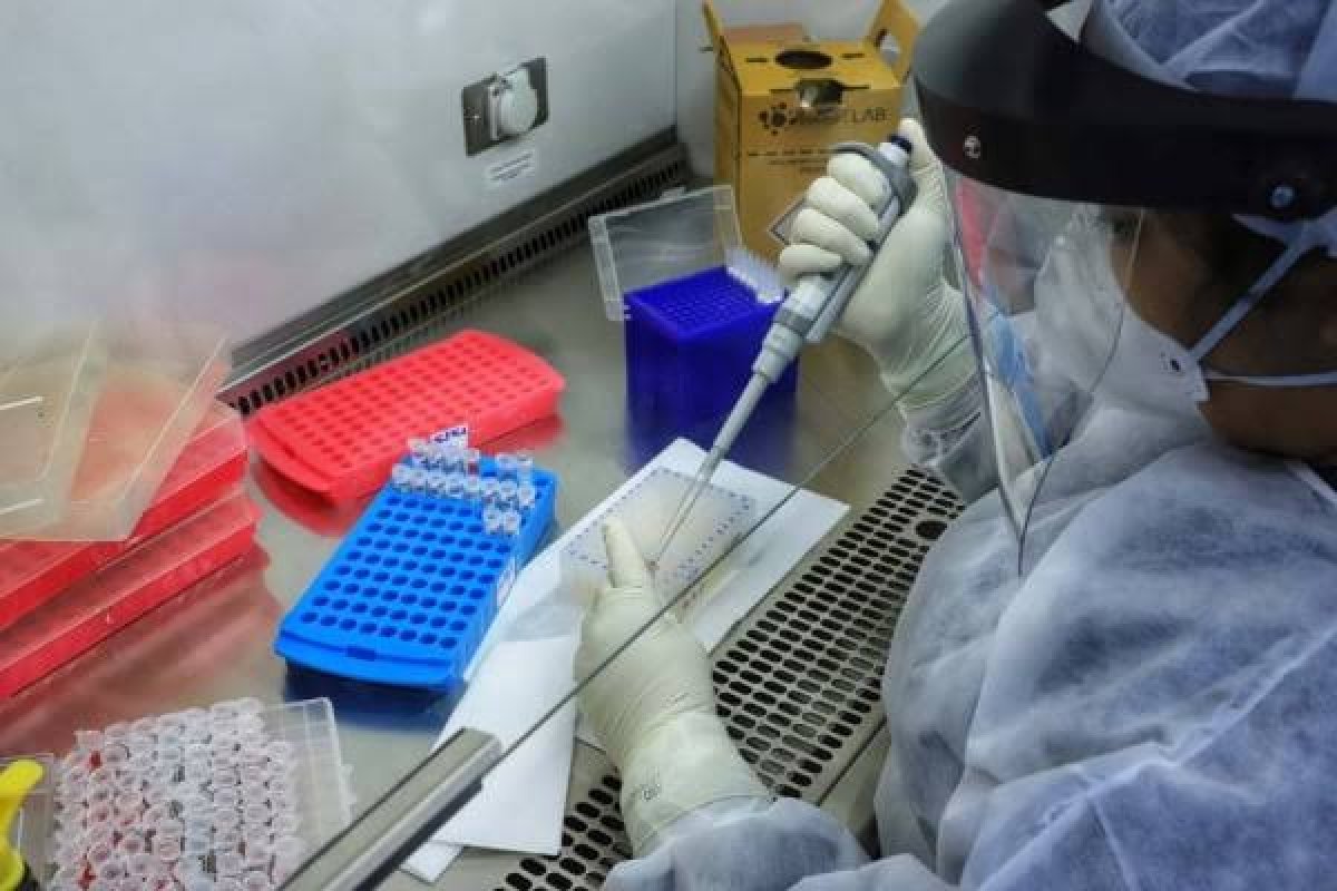 Bahia emite comunicado de risco sobre emergência zoossanitária devido à Gripe Aviária