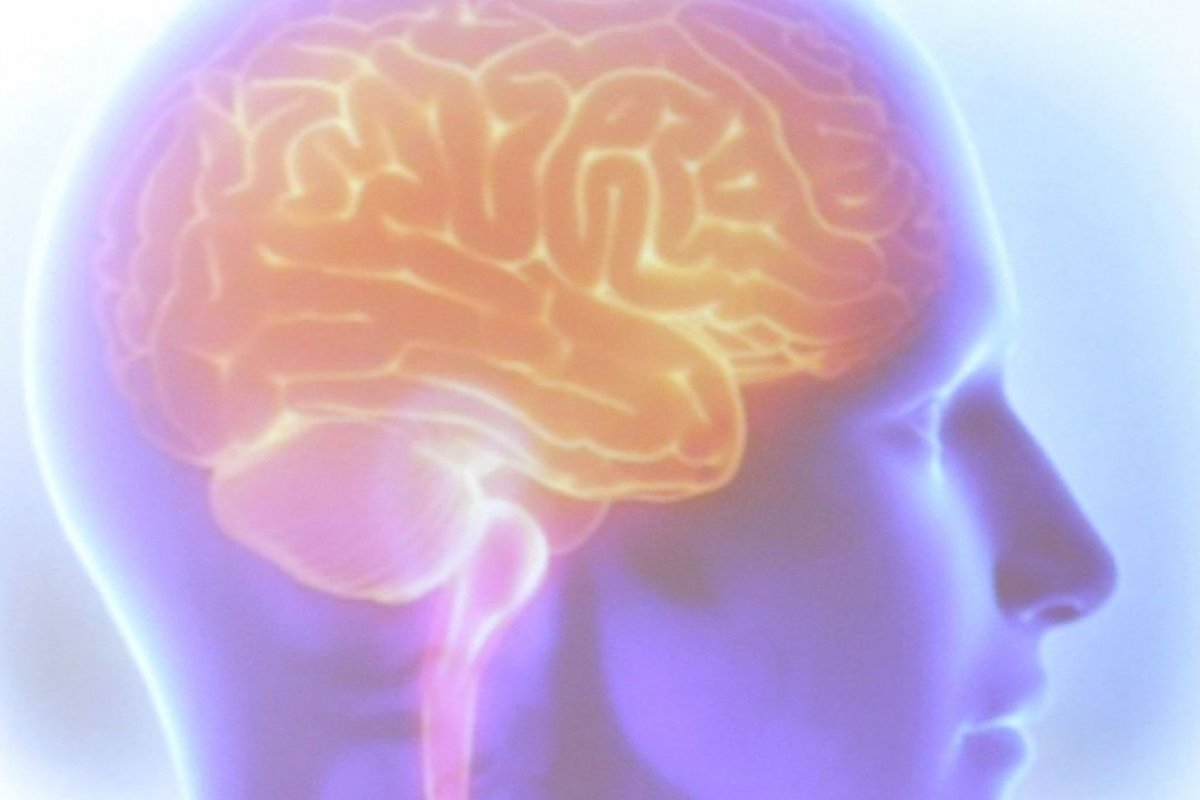 Cientistas desenvolvem molécula capaz de eliminar tumor no cérebro sem efeitos colaterais