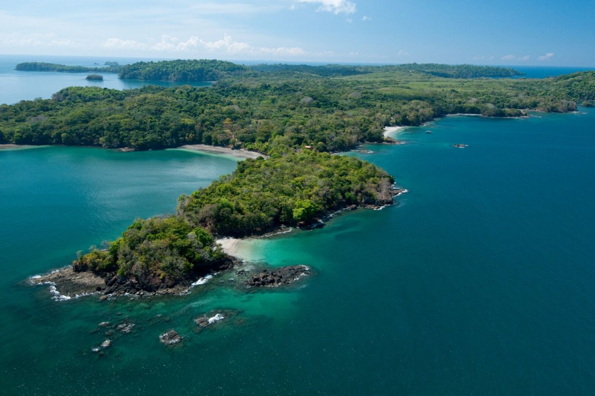Com dois oceanos para explorar, Panamá é destino certo para quem pratica pesca esportiva!