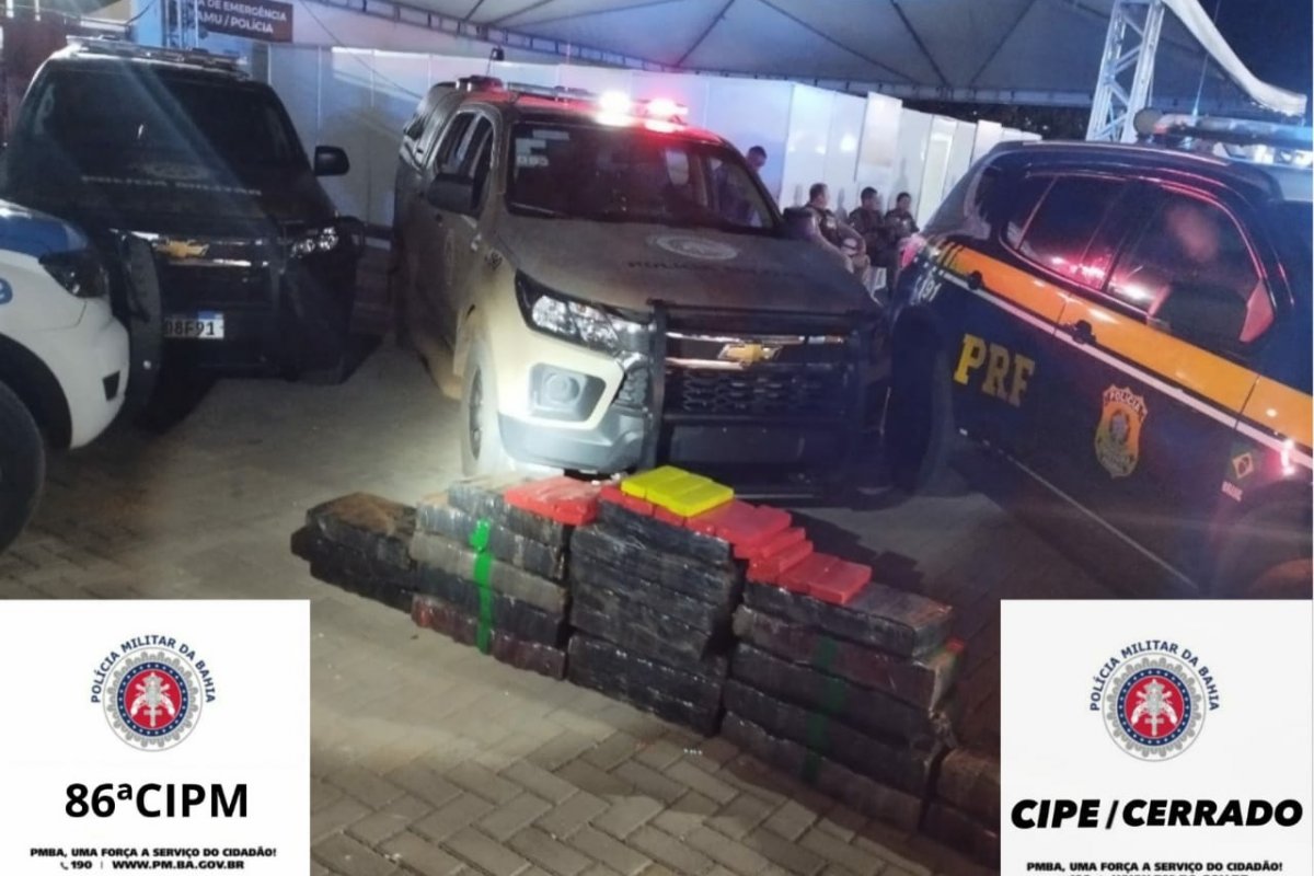 Mais de 250 kg de maconha foram apreendidos em operação conjunta da PM e PRF