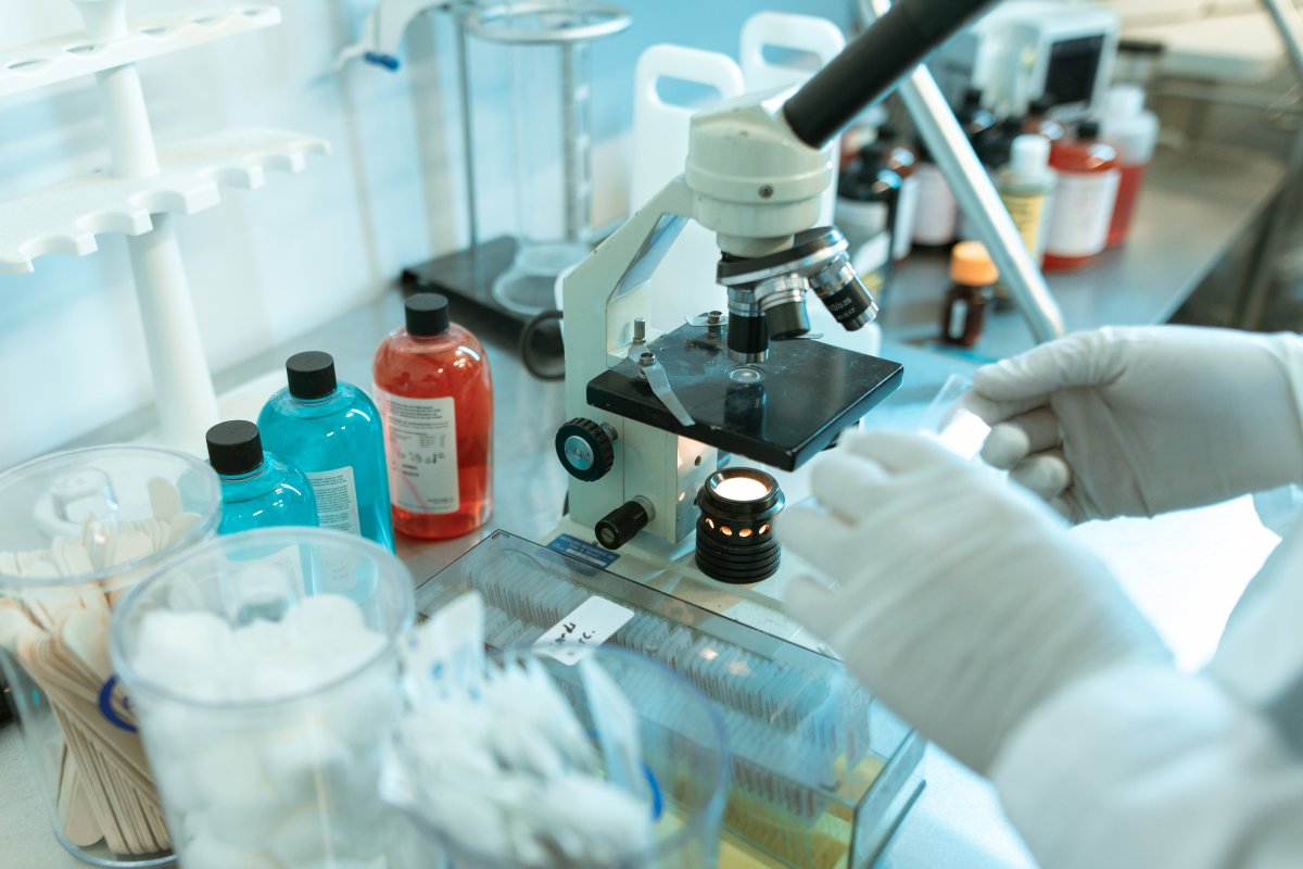 Pernambuco registra casos de Candida auris, fungo resistente a medicamentos antifúngicos