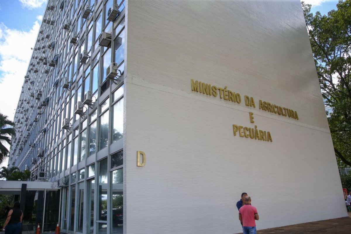 Minas Gerais registra primeiro caso de gripe aviária em pato 