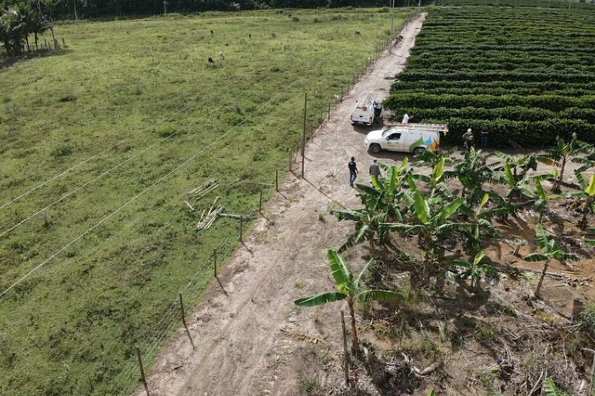 Polícia encontra ligação irregular de energia em fazenda de Café na Bahia