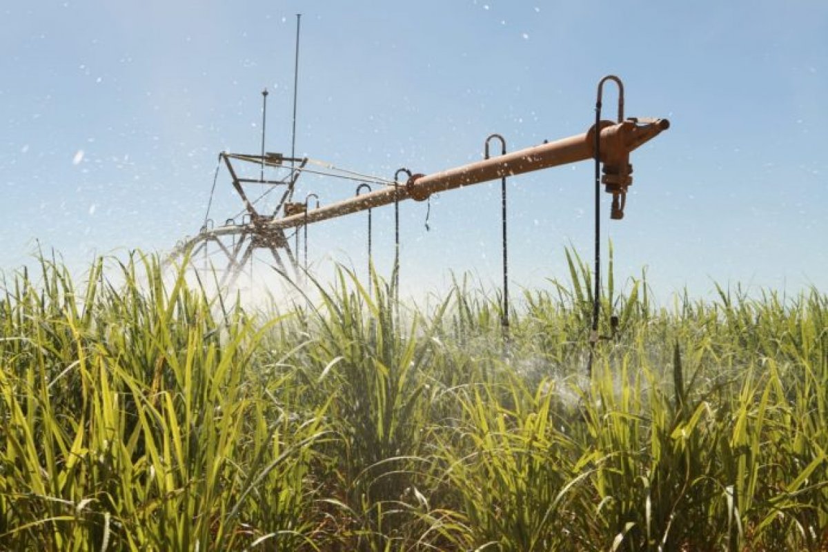 Desenbahia amplia oferta de crédito ao agronegócio