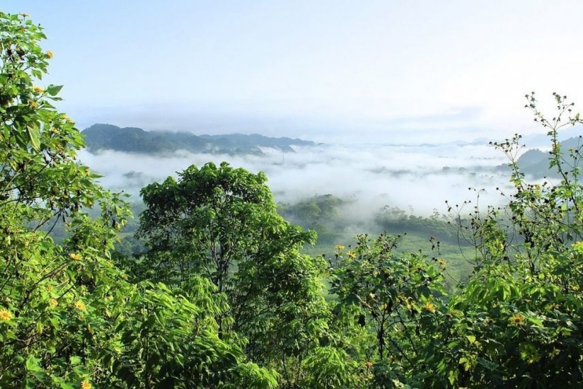 Marco temporal pode causar desmate de 55 milhões de hectares, diz Ipam