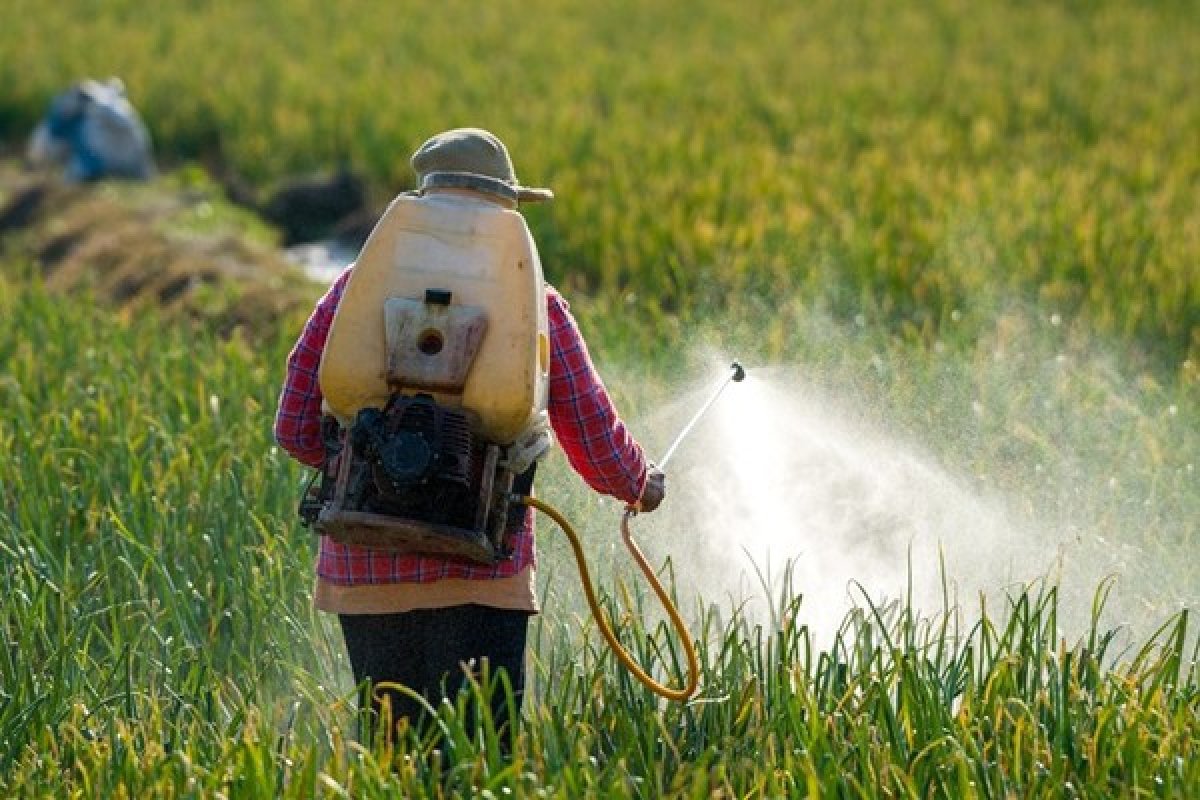 STF vota por derrubar trechos de decreto que abrandou classificação de agrotóxicos